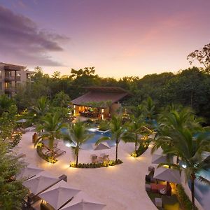Botanika Osa Peninsula, Curio Collection By Hilton